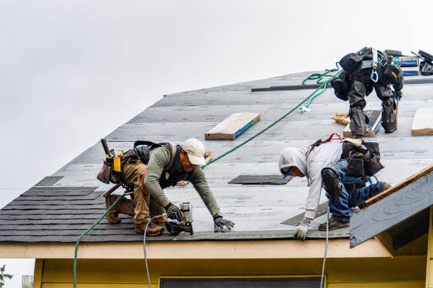Professional Roofing technician working in La Conner, WA